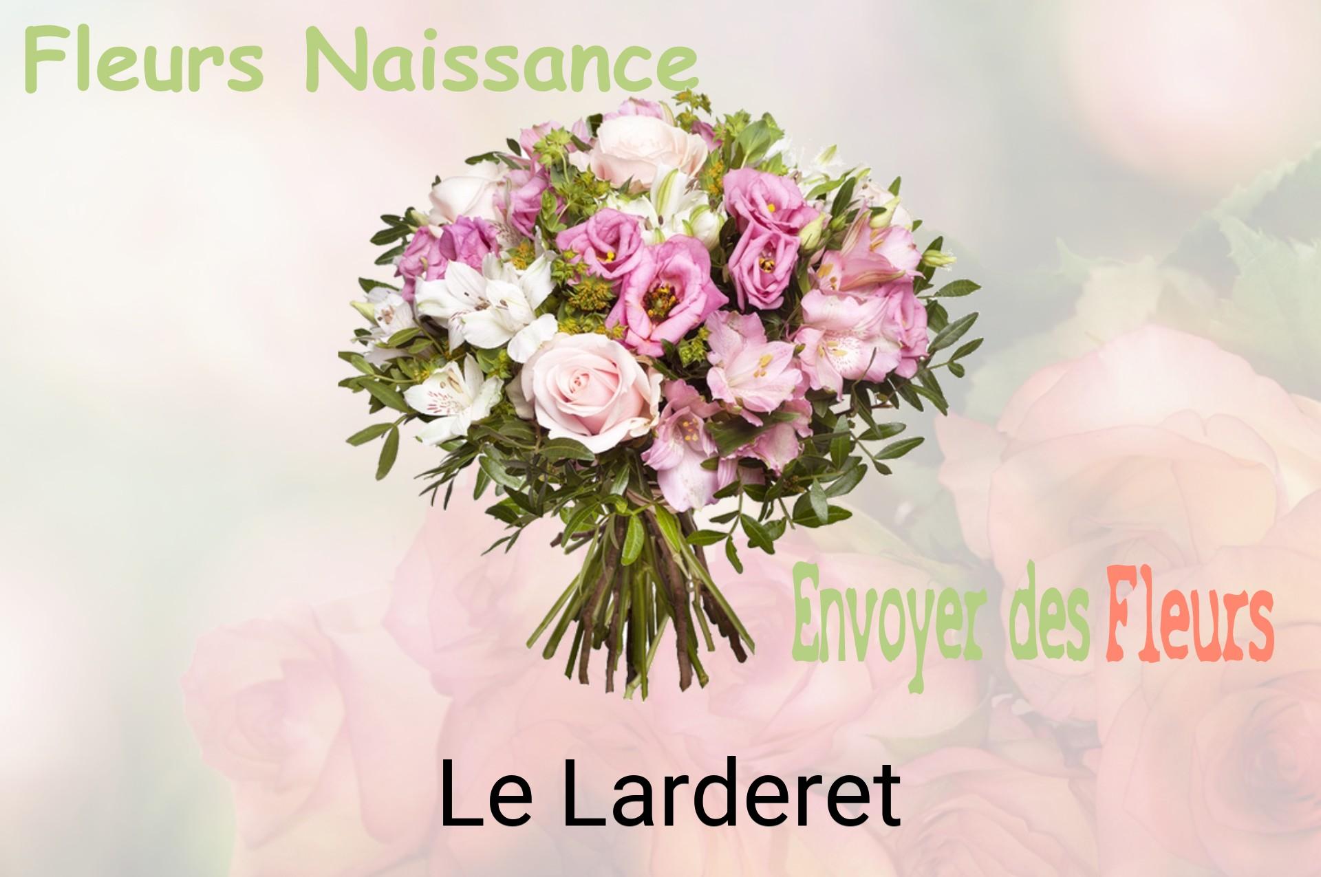 Bouquet de fleurs de naissance livré à Le Larderet