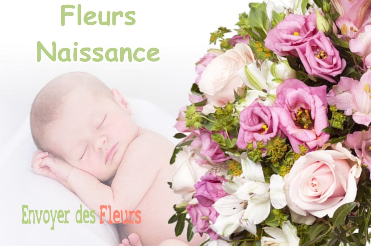 lIVRAISON FLEURS NAISSANCE à LE-LARDERET